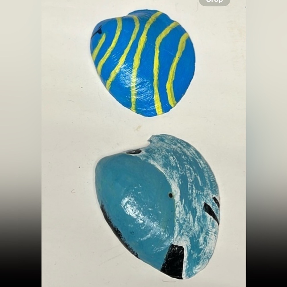 2 Piece Bundle Hand Painted Tropical Fish